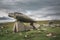 The Kilclooney Portal Dolmen