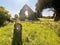 Kildare Abbey, The Grey Abbey, county Kildare, Ireland