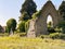 Kildare Abbey, The Grey Abbey, county Kildare, Ireland