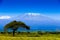 Kilimanjaro landscape