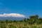 Kilimanjaro landscape