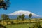 Kilimanjaro mountain in Africa brautiful landscape