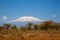 Kilimanjaro mountain in Africa brautiful landscape