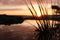 Killbear Provincial park sunset