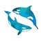 Killer whale blue logo. Vector illustration