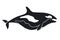 Killer Whale illustration. Ocean animal silhouette for logotype or t-shirt print design