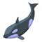 Killer whale jump icon, isometric style