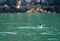 Killer Whale [Orca] and baby in Kenai Fjords National Park in Seward Alaska USA