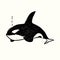 Killer whale Orca, hand drawn doodle gravure vintage style, sketch