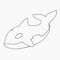 Killer Whale, Orca Line Art Vector
