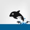 The killer whale (Orcinus orca) Vector illustration