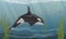 Killer whale swims in cold ocean water. Ocean floor with dark sand, long algae and schools of fish. Aquatic mammals of the Arctic