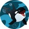 Killer whale, whale, dolphin, sticker