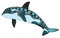 Killer whale zentangle stylized, vector, illustration, freehand