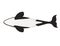 Killer whaleOrcinus orca cartoon animal design ocean mammal orca flat vector illustration isolated on white background