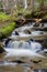 Killpecker Creek in the Laramie Mountains of Northern Colorado.