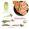 Kimchi, traditional korean food. Illustration on white. Ingredients for kimchi
