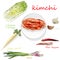 Kimchi, traditional korean food. Illustration on white. Ingredients for kimchi