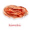 Kimchi, traditional korean food. Illustration on white isolated