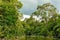 Kinabatangan river, Malaysia, Borneo