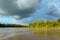 Kinabatangan river, Malaysia, Borneo