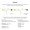 Kinase Phosphorylation scientific educational vector illustration