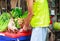 Kind male owner feeding cute hungry cats pet food at street food fruit market. Animal Care, Adoption, Pet Health, Cat Love,