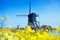 Kinderdijk, Netherlands at spring with flowers