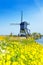 Kinderdijk watermill over spring yellow flowers