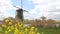 Kinderdijk Windmill