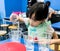 Kindergarten girl pouring clear solution into a cup on blue table.