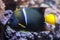 King angelfish (Holacanthus passer).