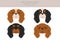 King Chares Spaniel clipart. Different poses, coat colors set