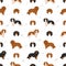 King Chares Spaniel seamless pattern. Different poses, coat colors set