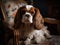 The King Charles Spaniel\\\'s Moment of Serenity