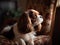 The King Charles Spaniel\\\'s Moment of Serenity