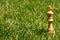 King chess piece on grass