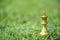 King chess pieces on grass filed
