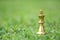 King chess pieces on grass filed