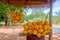 King Coconuts Are Displayed For Sell On Small Roadside Stall In Sigiriya