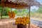 King Coconuts Are Displayed For Sell On Small Roadside Stall In Sigiriya