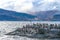 King Cormorant colony, Beagle Channel, Argentina - Chile