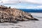 King Cormorant colony, Tierra del Fuego, Argentina