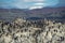 King cormorants colony, ushuaia