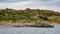 King Cormorants and Magical colorful fairytale forests and bays at Tierra del Fuego National Park, Beagle Channel, Patagonia,