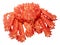 King crab isolated on white background. With clipping path