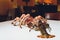 king crab and lobster live opposite each other on a white background. lying on the table against the background of the