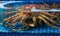 King crab sold in seafood market