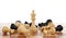 King among fallen chess pieces on wooden board against white background