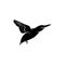 King fisher bird silhouette vector illustration design
